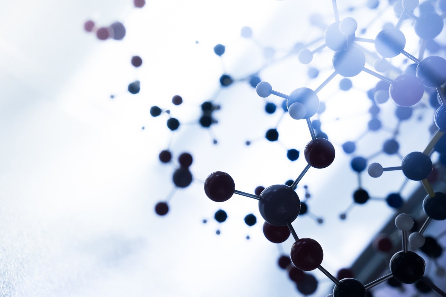 Basic Fibrovast Growth Factor