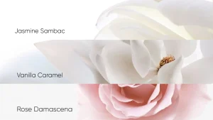 perfume-ingredients-jasmine-rose-vanilla