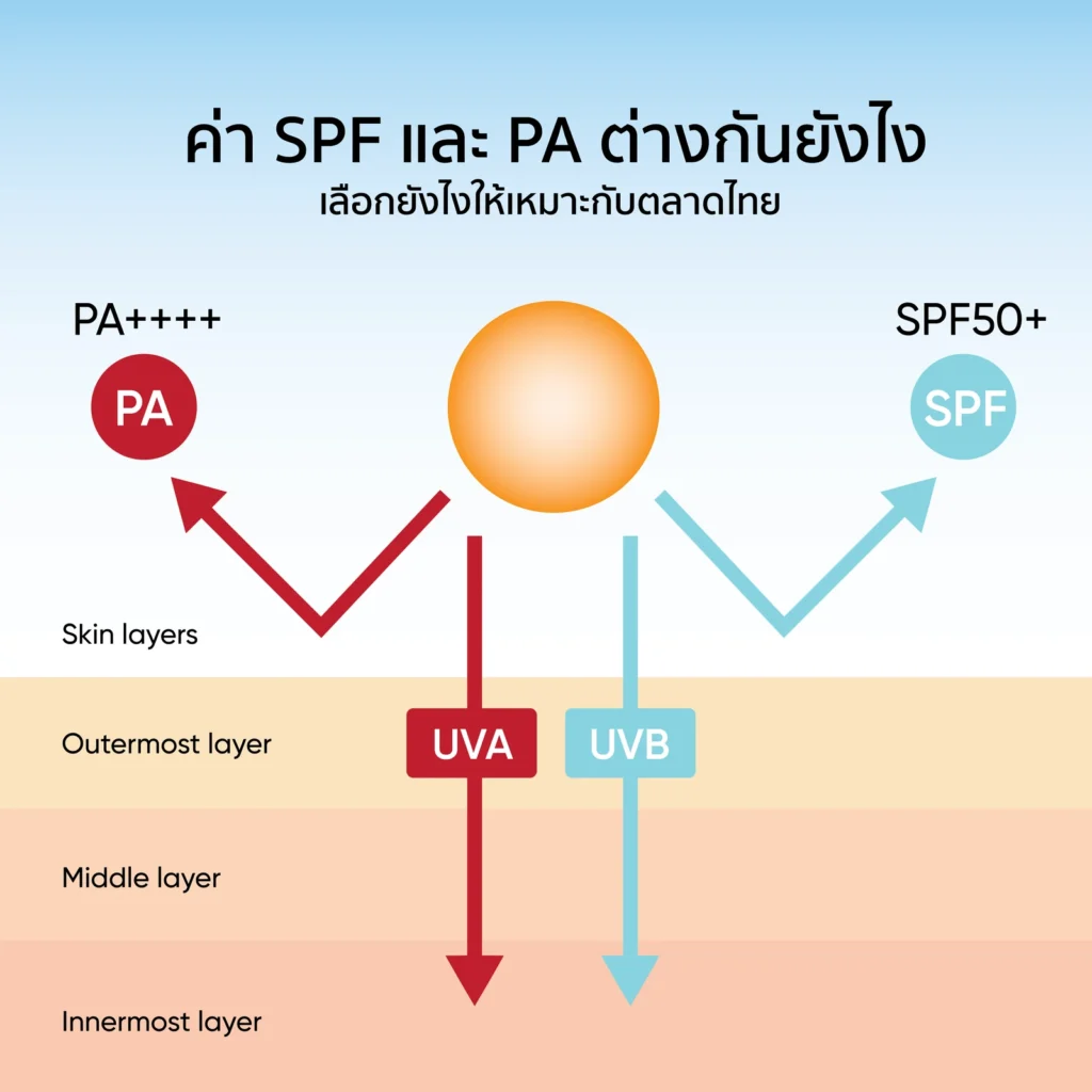 ค่า SPF และ PA ต่างกันยังไง